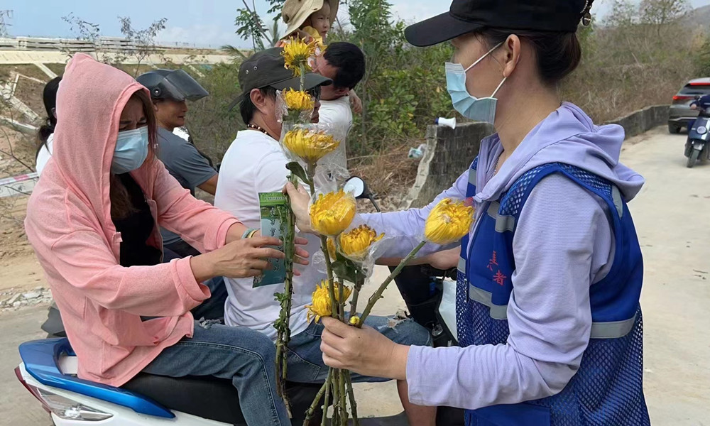 网络中国节·清明 ▏天涯区： 鲜花替换鞭炮 清明更文明