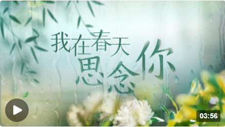 1680693565337081830.png