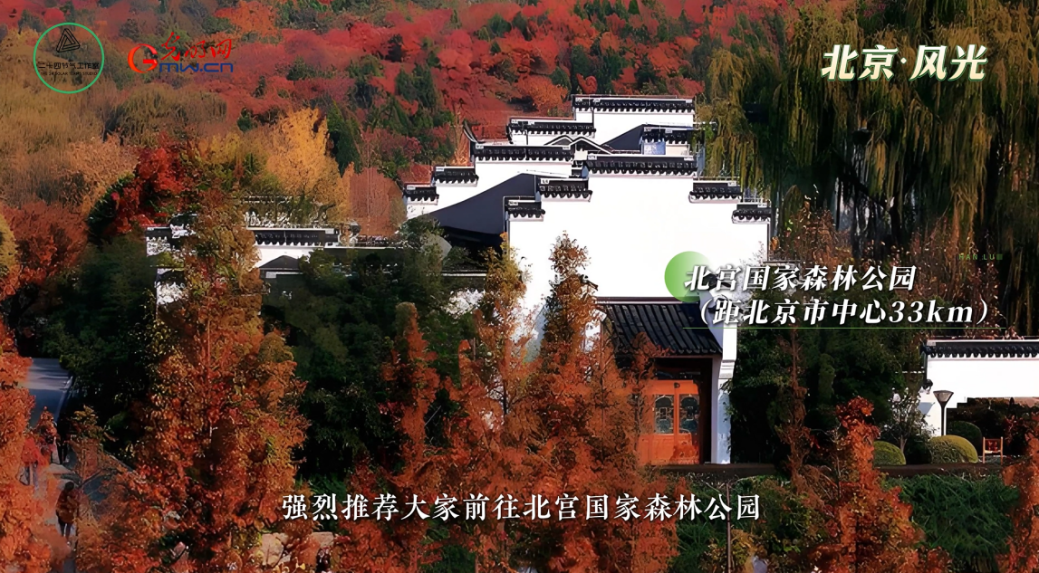 网络中国节·重阳 | 露气寒冷，将凝结也