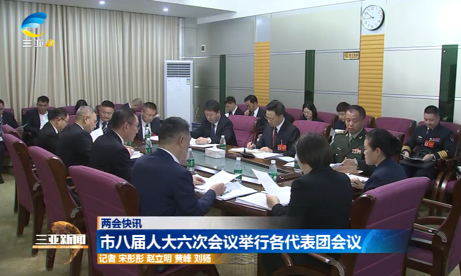 市八届人大六次会议举行各代表团会议