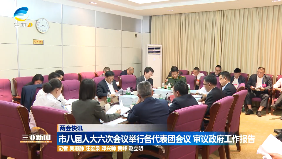 市八届人大六次会议举行各代表团会议 审议政府工作报告