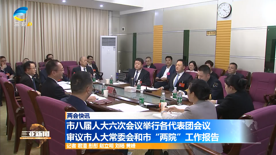 市八届人大六次会议举行各代表团会议 审议市人大常委会和市“两院”工作报告