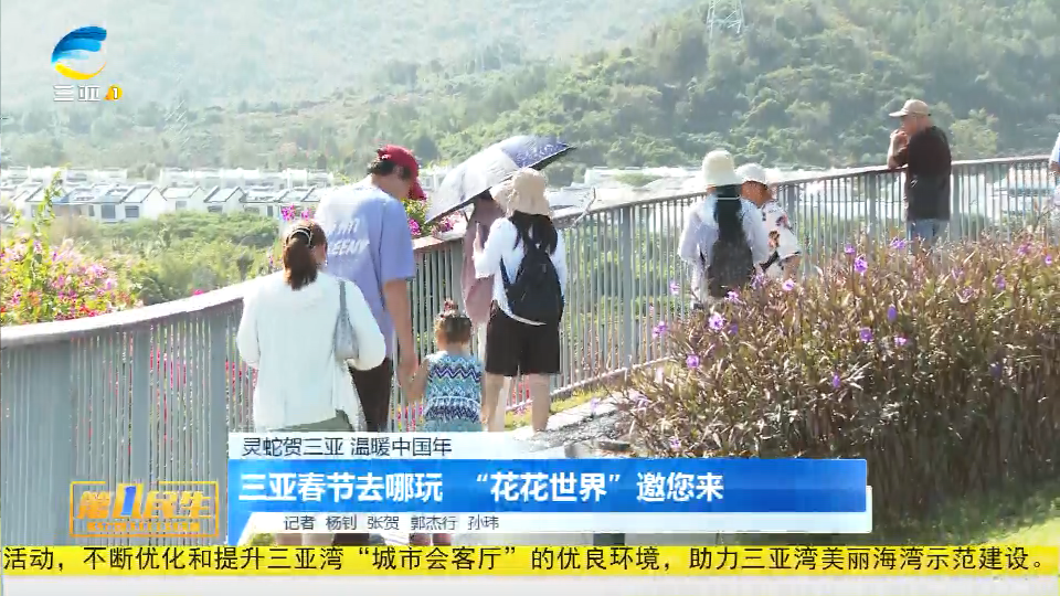 三亚春节去哪玩 “花花世界”邀您来