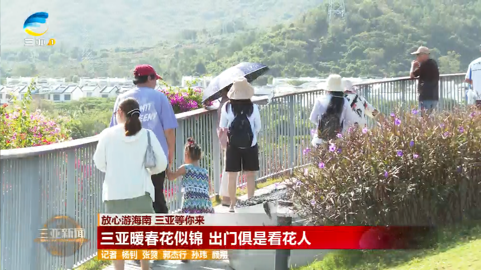 三亚暖春花似锦 出门俱是看花人