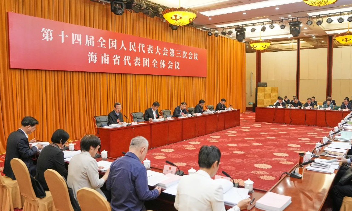 海南代表团继续审议政府工作报告 审查计划报告和草案、预算报告和草案