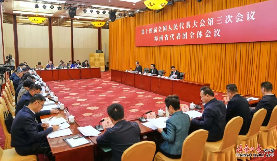 海南代表团举行全体会议，传达学习习近平总书记重要讲话精神，审议全国人大常委会工作报告