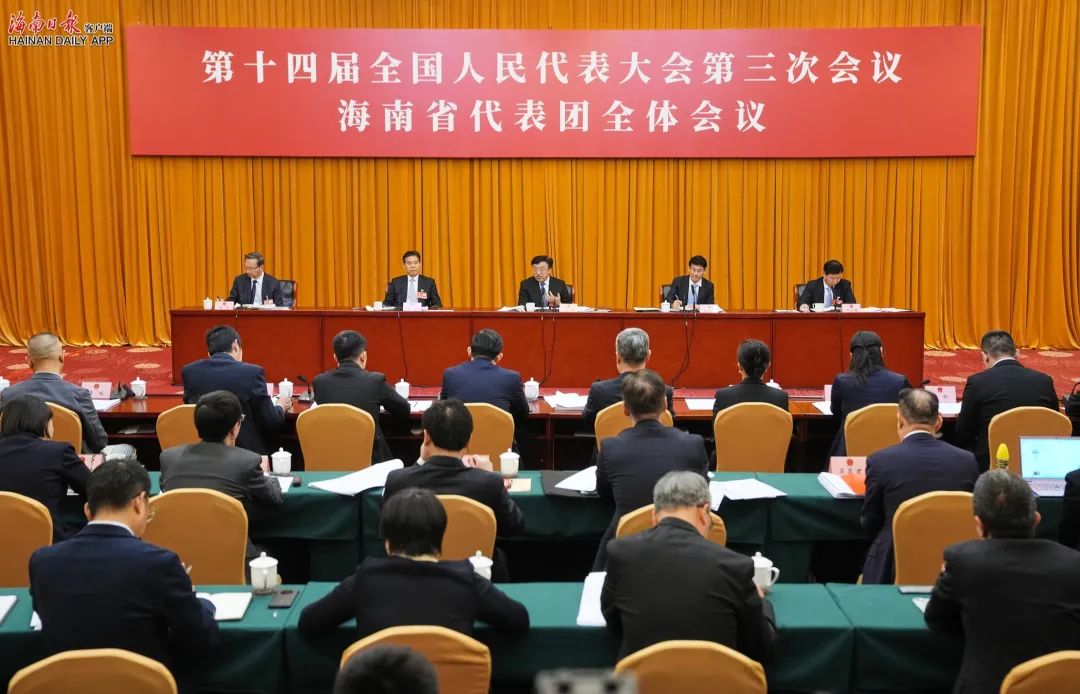 海南代表团举行全体会议，审议全国人大常委会工作报告、“两高”工作报告和三个决议草案