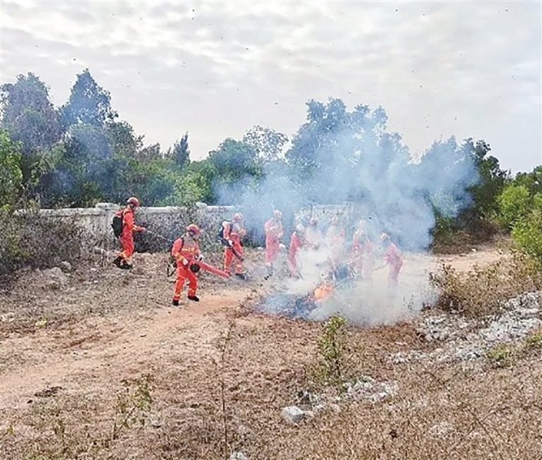 网络中国节·清明 | 天涯区加强清明节期间防灭火工作 46支应急小分队全力筑牢防火网