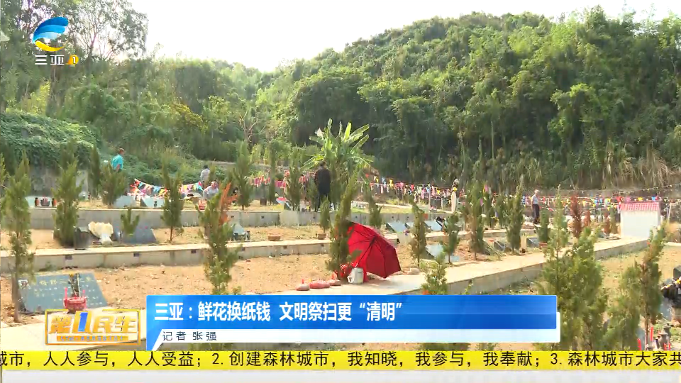 网络中国节·清明丨三亚：鲜花换纸钱 文明祭扫更“清明”